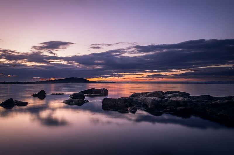 motionless фото превью