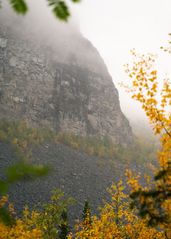 Куйваphoto preview