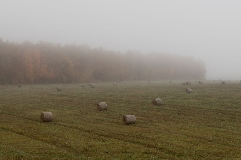 природа, сено, осень, туман, унылая пора, пейзаж Урожай собранphoto preview