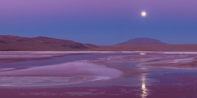 fineartphotography, naturephotography, travelphotographer, mounta, minimallandscape, earthcolors, abstractnature, photoexpedition, lagunacolorada, bolivia, altiplano, southamerica, highaltitudebeauty, naturewonder, worldexplorers, travelphotography, lands Laguna Coloradaphoto preview