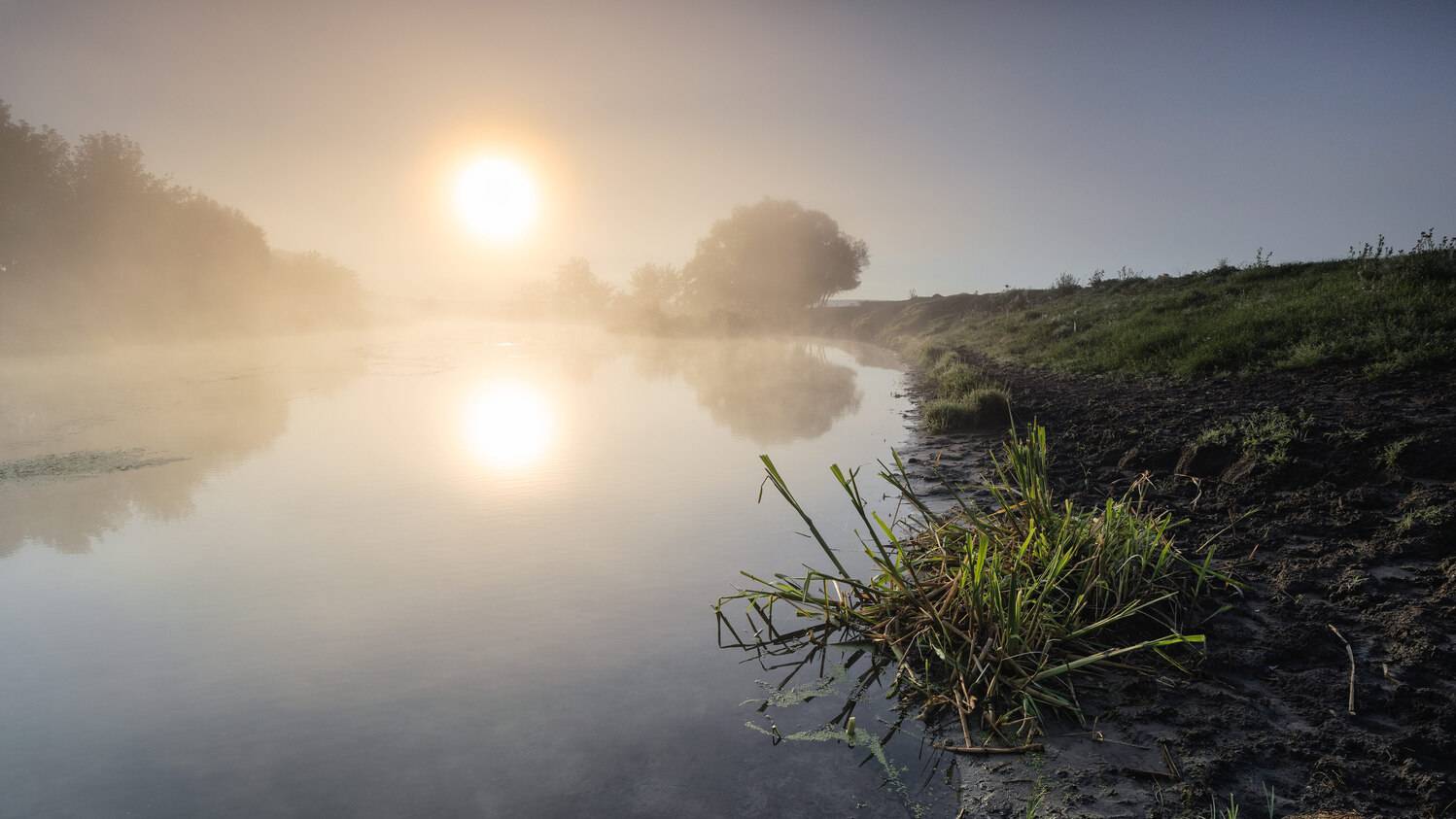 , Александр Бредихин