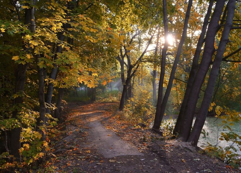 Сказочное утроphoto preview