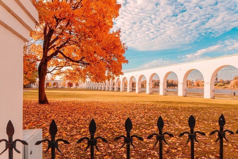 Осень в городеphoto preview