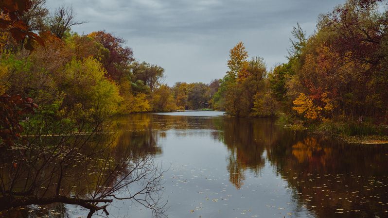 Осеньphoto preview