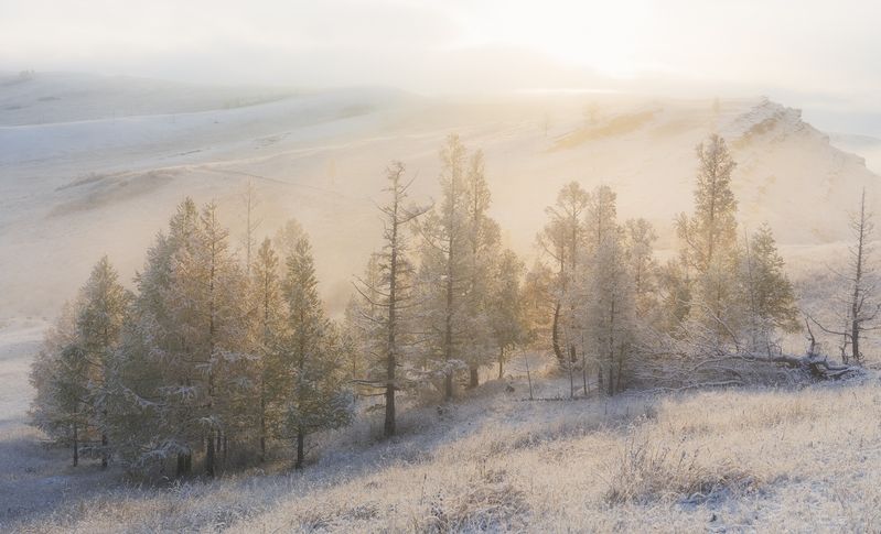 Туманный рассветphoto preview