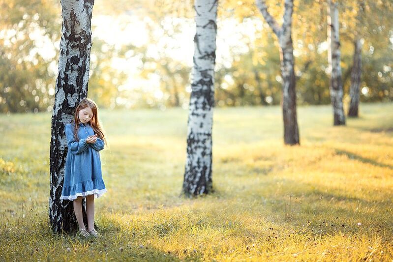 Flower фото превью