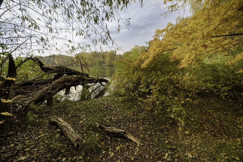 Москва, Строгино, Щукинский полуостров, Чистый залив, осень, Московская осень Московская осеньphoto preview