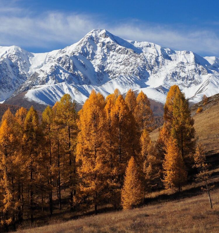 Алтай, Горный Алтай, Республика Алтай Алтайская осеньphoto preview