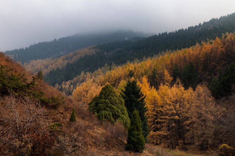 кыргызстан, шамшы Мгновения октябряphoto preview