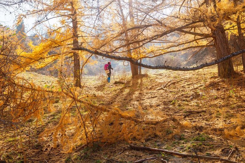 кыргызстан, шамшы Картины октябряphoto preview