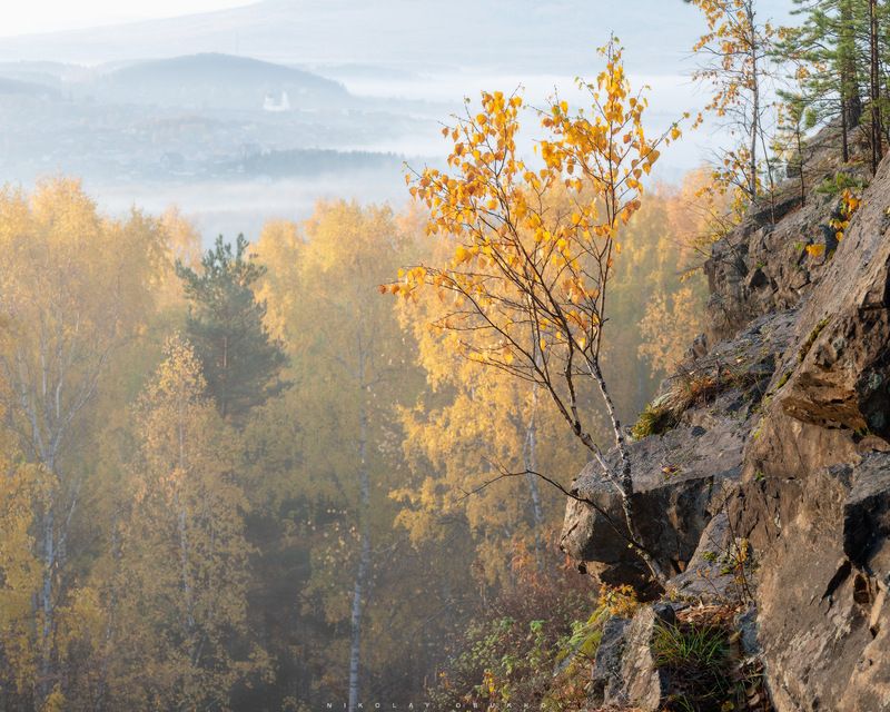 Осеннее утроphoto preview