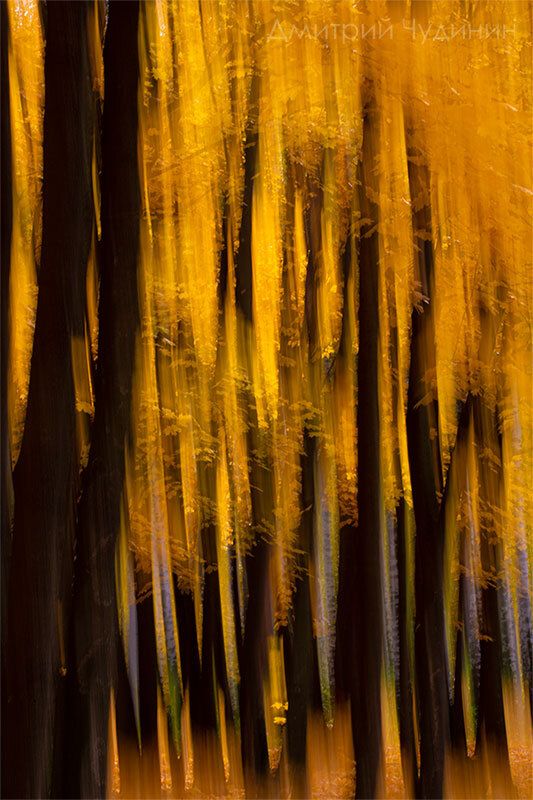 Золотая осень фото превью