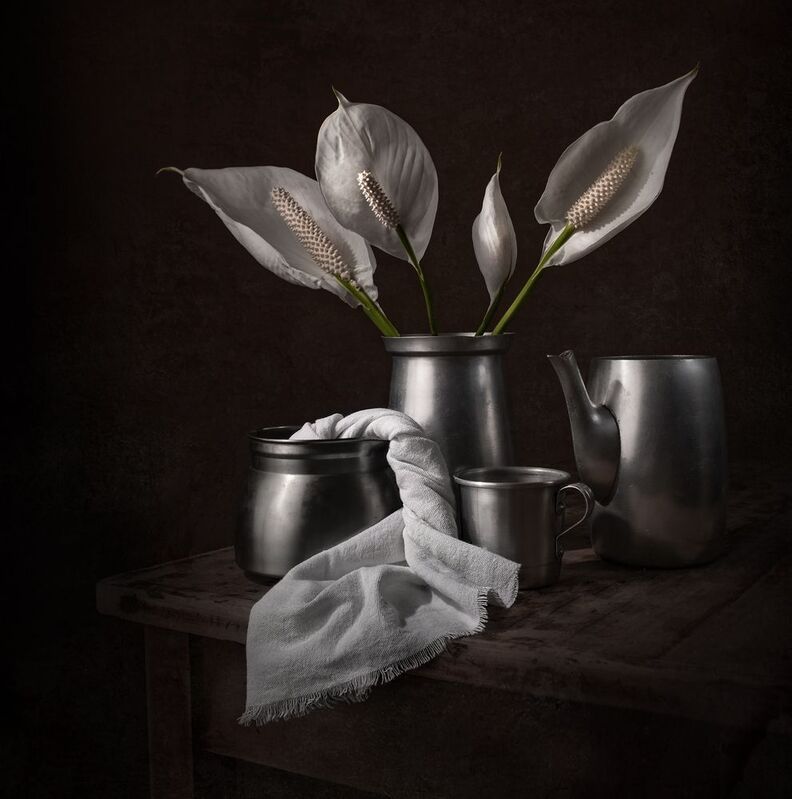 Still life, flowers, light, white, shadow, metal  Lilyphoto preview