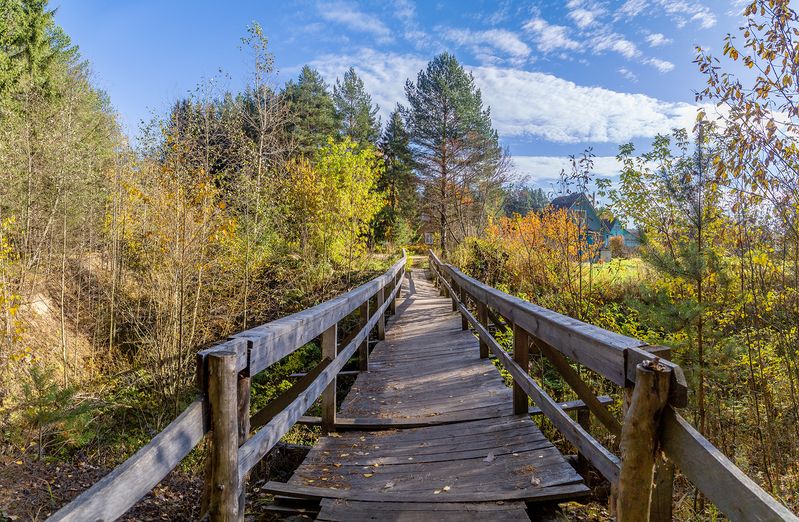 мостик, старость, кривой, осень Кривой мостик. фото превью