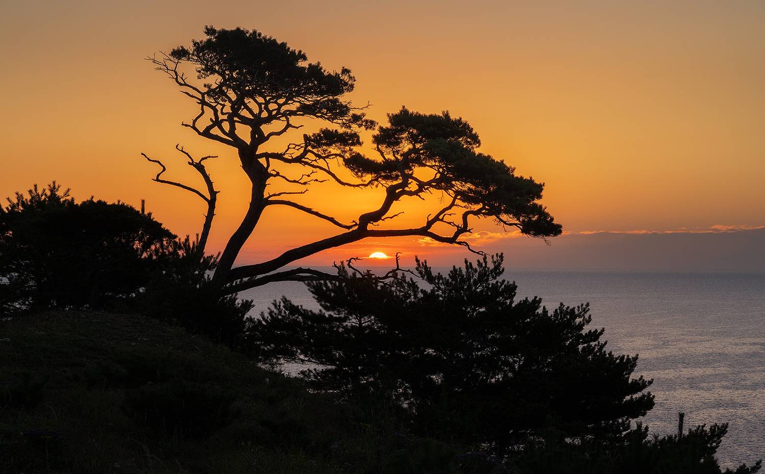 , Андрей Родионов