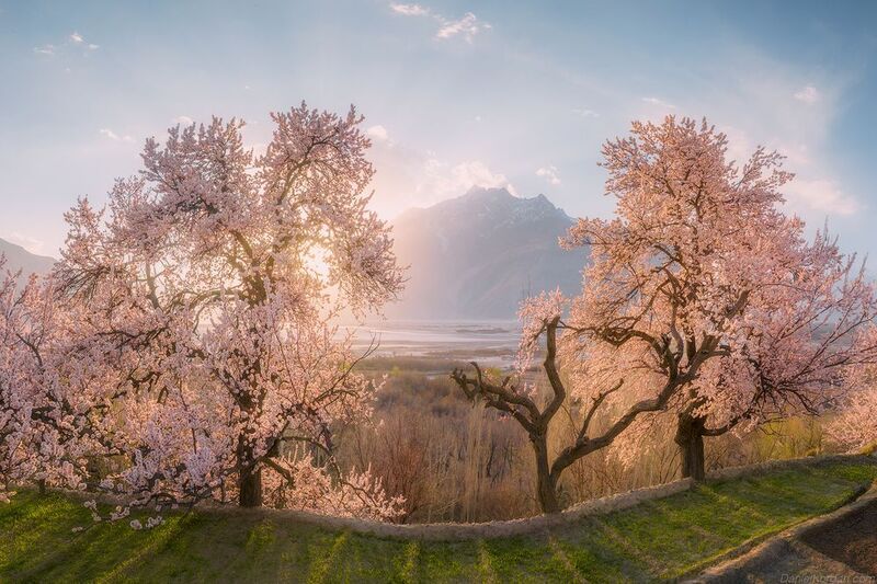 Pakistanphoto preview