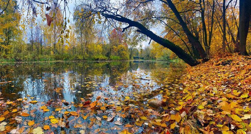 москва, парк, осень Осеньphoto preview