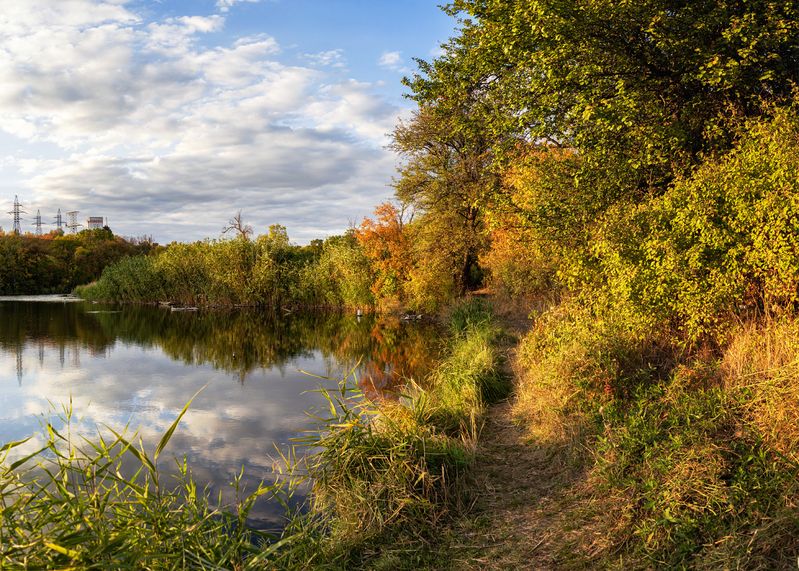 Осенняя тропинкаphoto preview