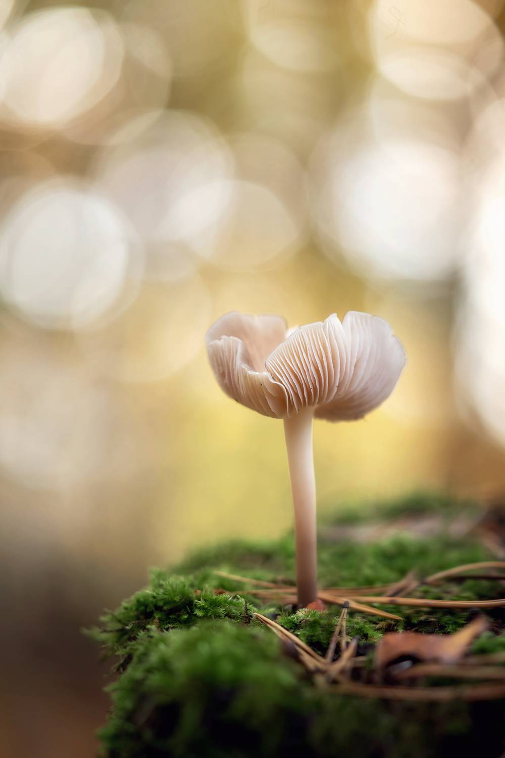 , Завьялова Людмила