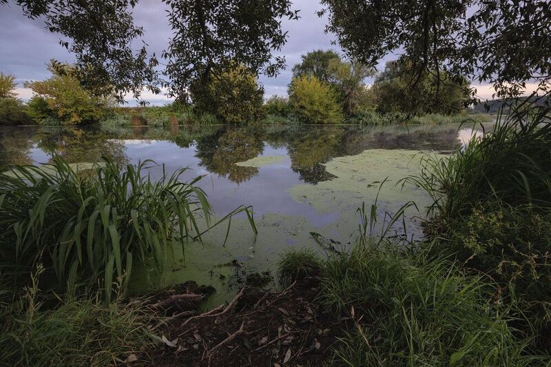 Пасмурное утро. Августphoto preview