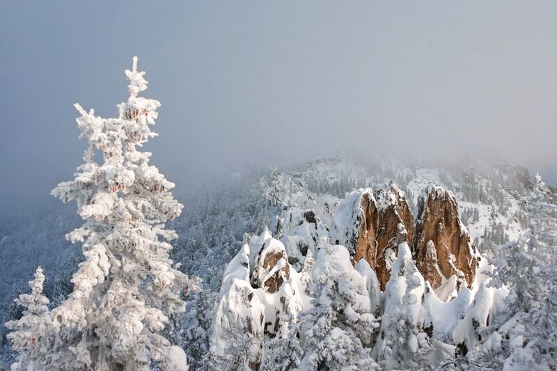 sigma sd quattro ***** фото превью