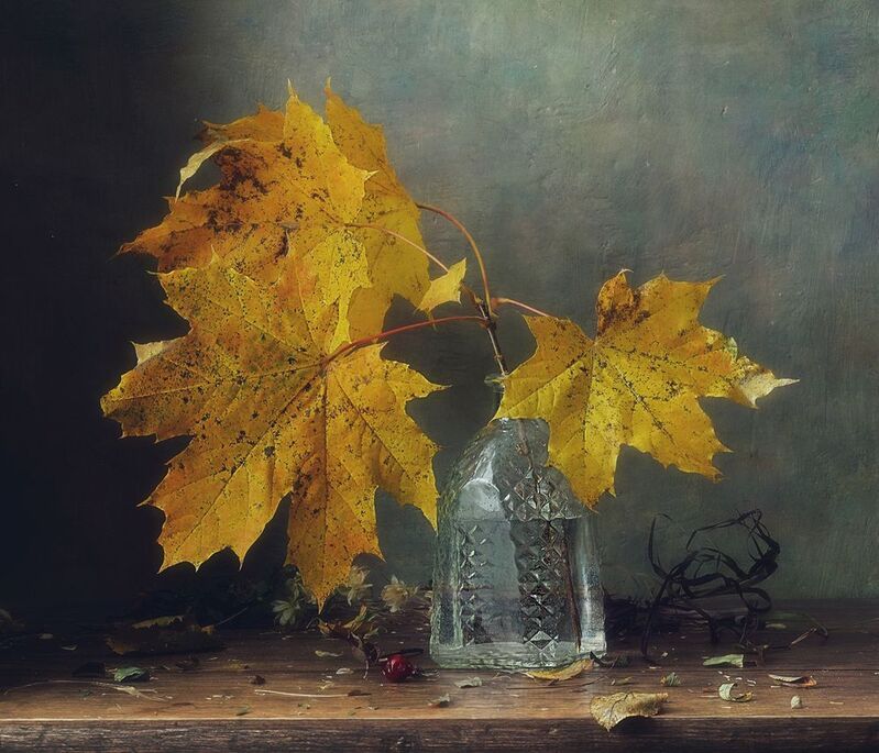 натюрморт,листья,осень,клен осень...photo preview