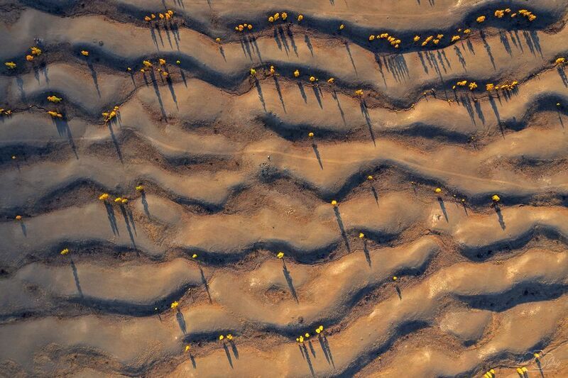 алтай, курайская степь Рябь земли.2 фото превью