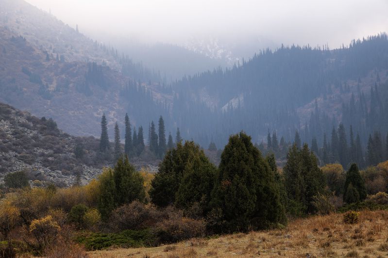 кыргызстан, шамшы В дымке вечераphoto preview