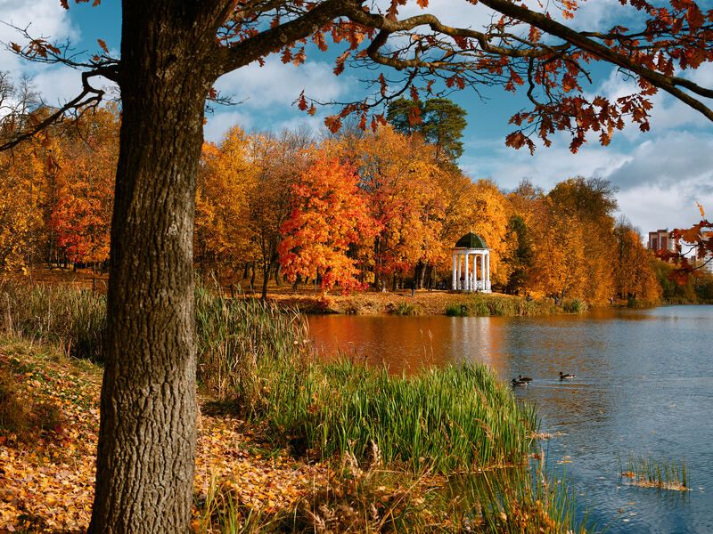 Когда выходит солнцеphoto preview