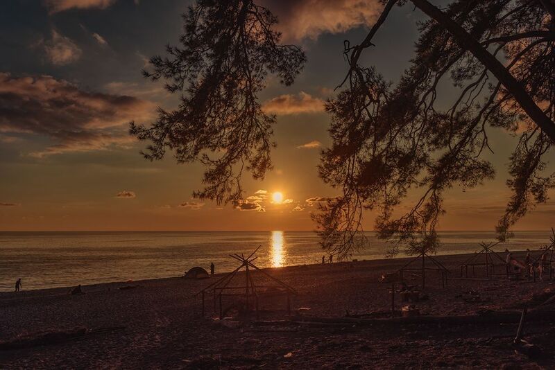 море закат сосна облака пляж Закат над моремphoto preview