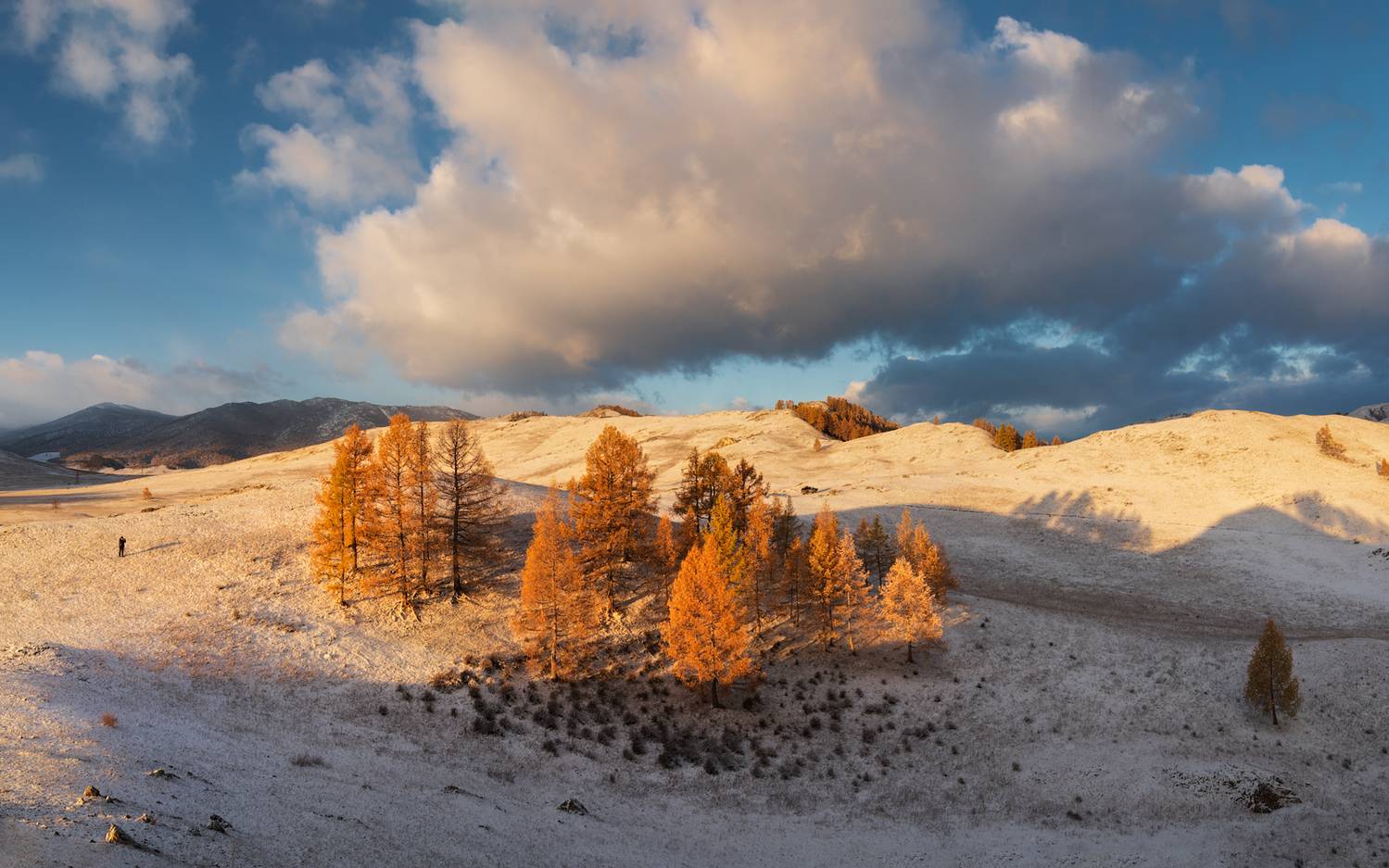 алтай, горный алтай, пейзажи алтая, усть-канский район, горная степь, золотая осень, горы, осенний алтай, лиственницы, Рубан Елена