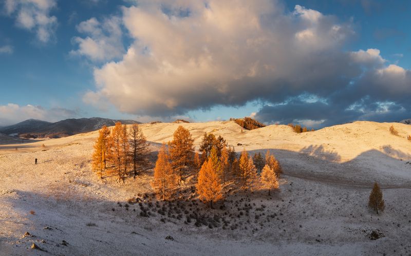 алтай, горный алтай, пейзажи алтая, усть-канский район, горная степь, золотая осень, горы, осенний алтай, лиственницы Рыжее утроphoto preview