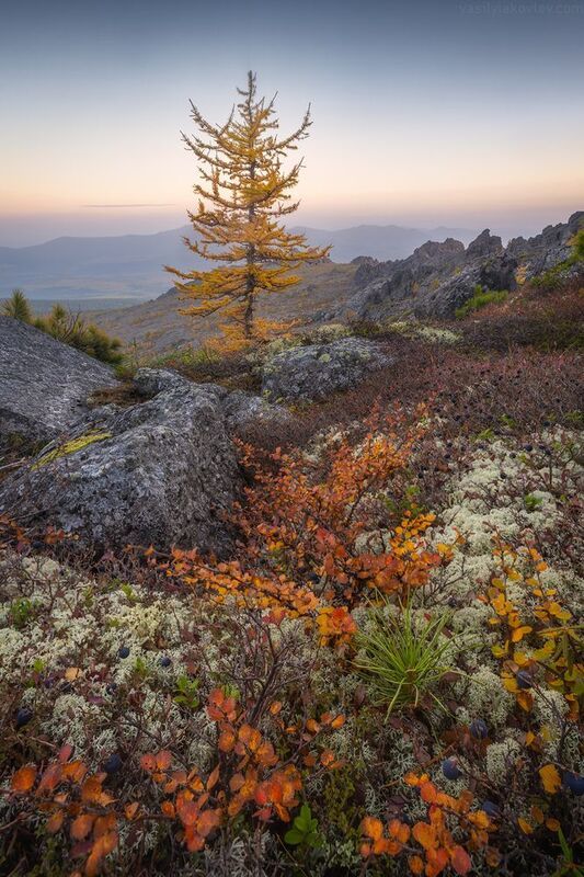 урал, осень, фототур, яковлевфототур Осень на северном Уралеphoto preview