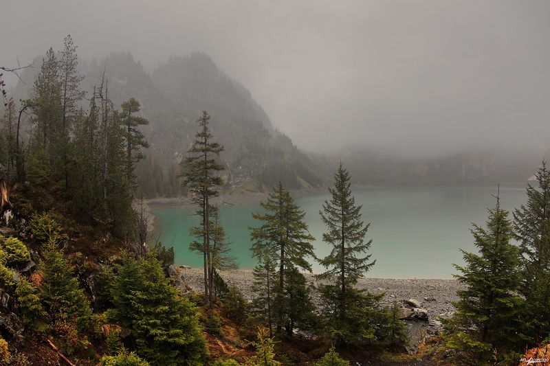 swiss Забвениеphoto preview