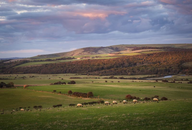 Вечерний пейзажphoto preview