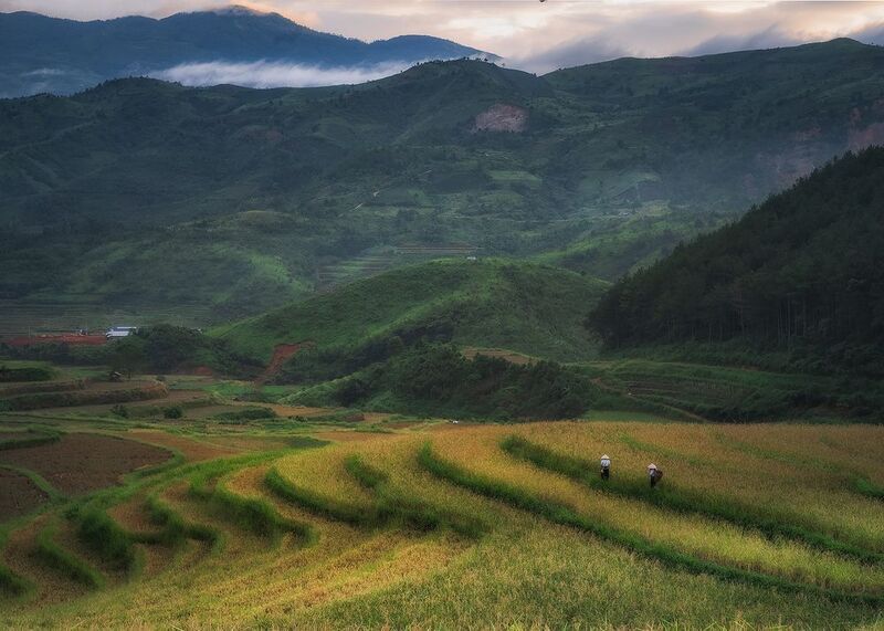 Rise terraces. Vietnamphoto preview