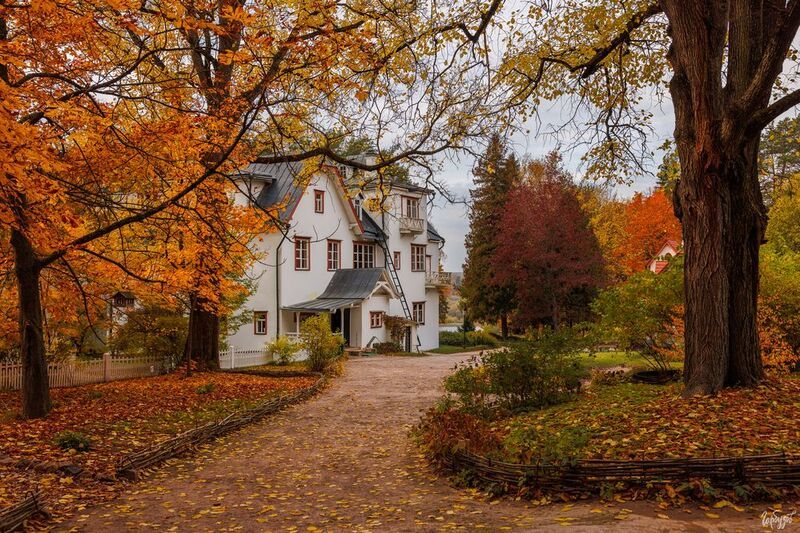 Осень в Поленовоphoto preview