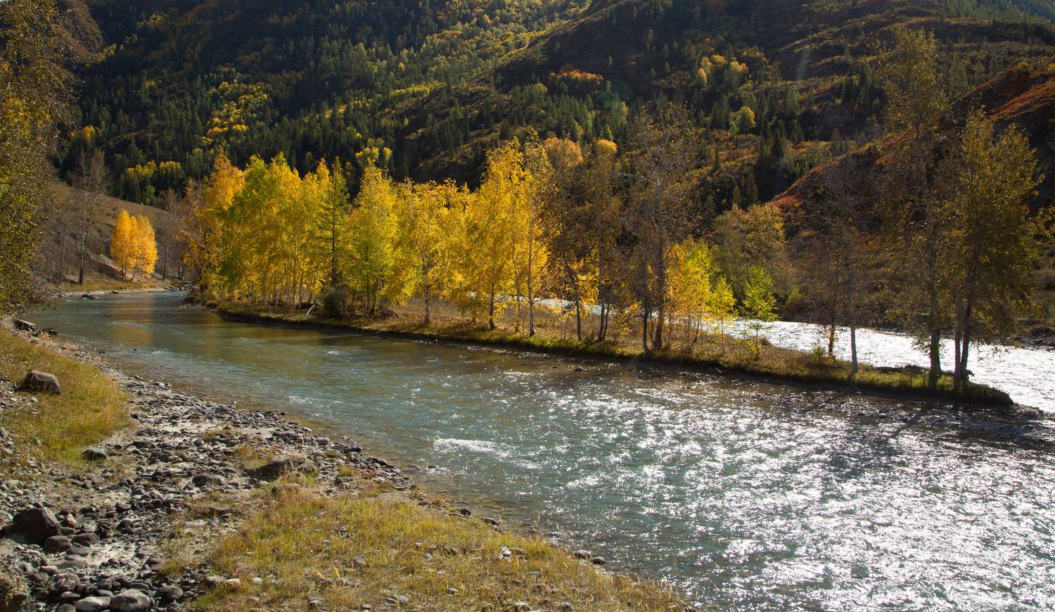 , Евгений Зинов