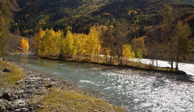 р. Чуя в Сентябреphoto preview