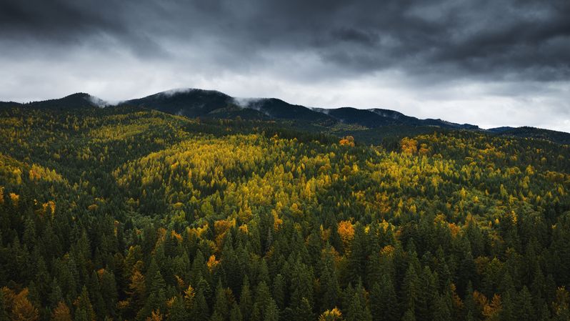 карпаты, осень Карпатская осеньphoto preview