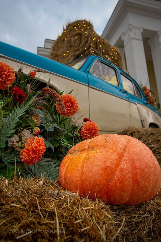 Хороший урожай фото превью
