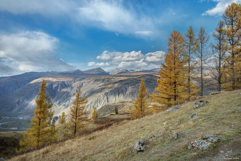 алтай, горный алтай, кату-ярык, природа, осень, золотая осень, горы Лиственницыphoto preview