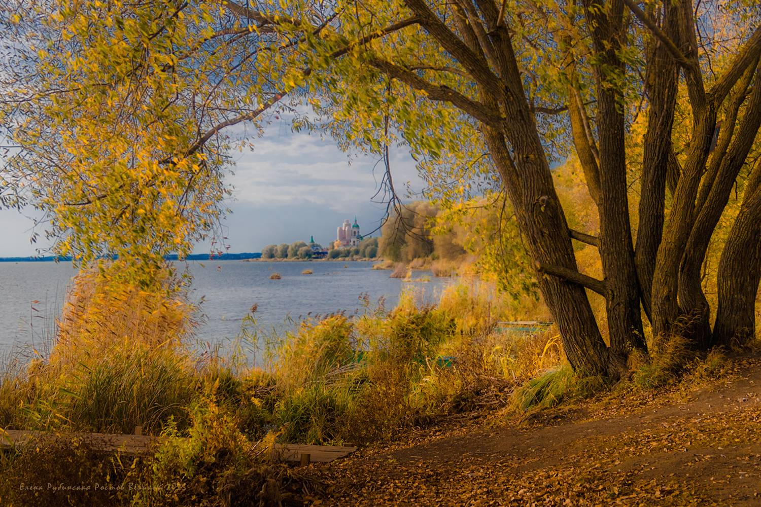ростов великий, Елена Рубинская