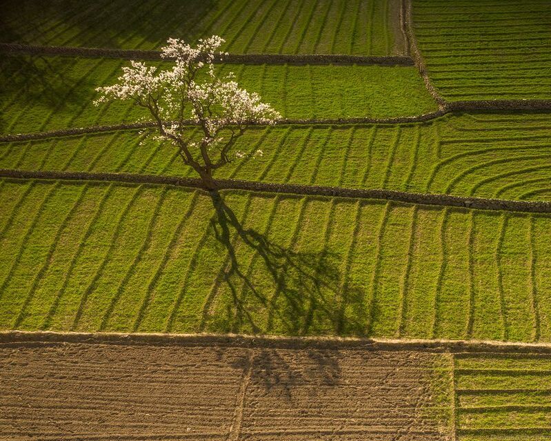 Pakistanphoto preview