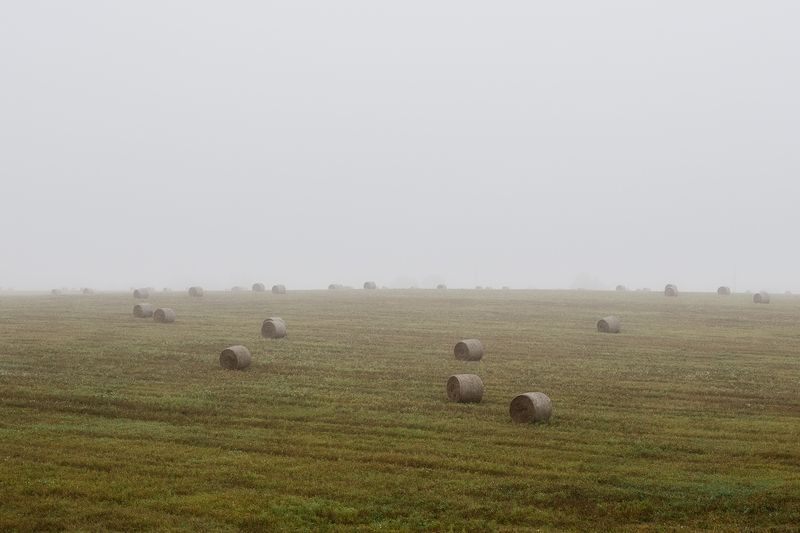 природа, пейзаж, поле, сено, осенняя пора, Московская область, туман Осеньphoto preview