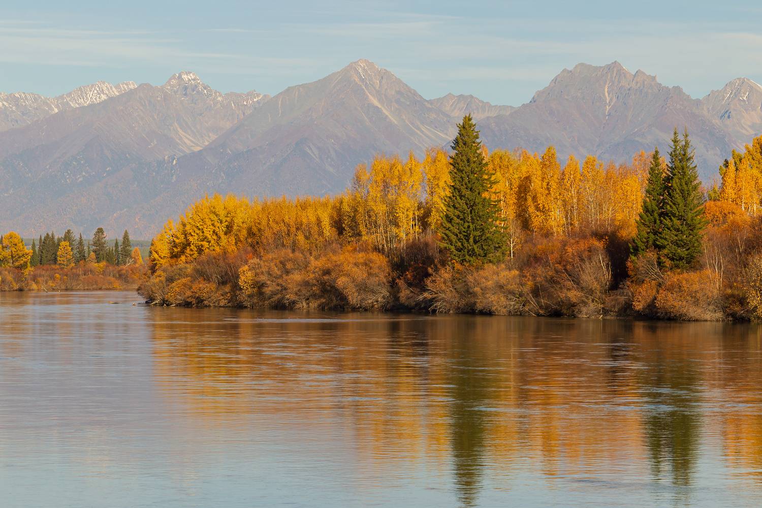 Утро сентября. Автор: Koledova Irina , Koledova Irina