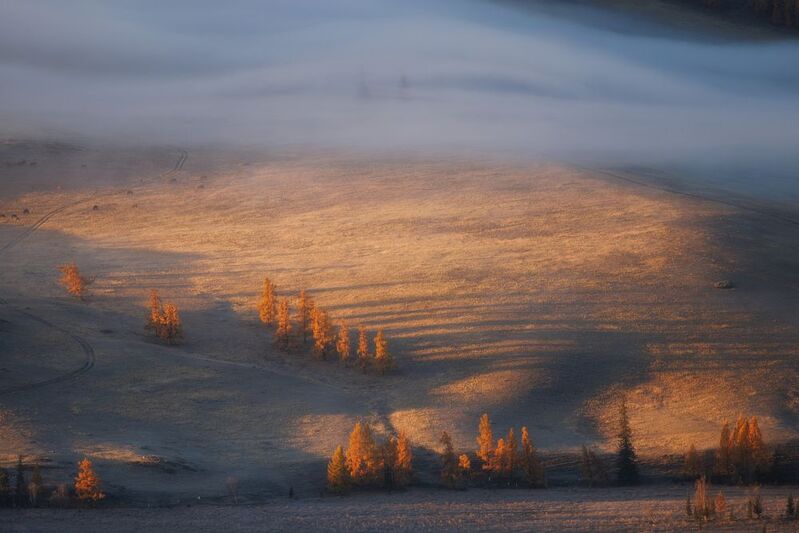 алтай, горный алтай, курай, степь, курайская степь, утро, туман, туманное утро, пейзаж Курайская степь фото превью