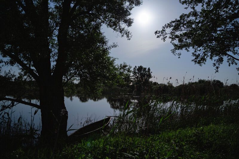 Лунная ночь...photo preview