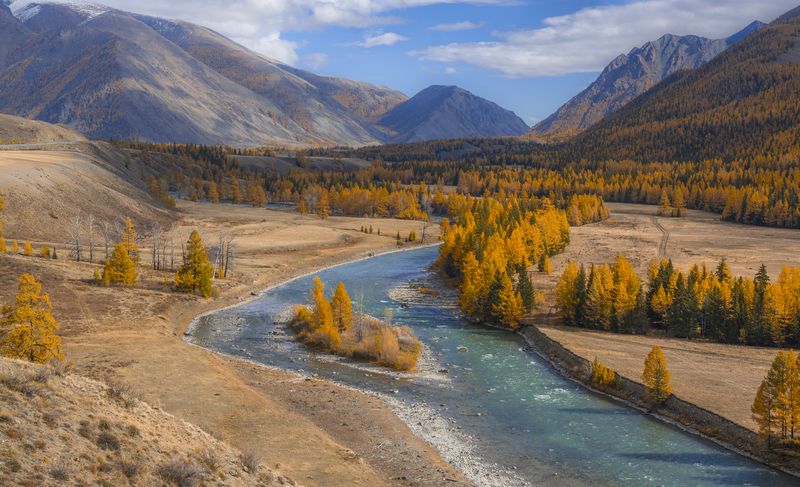 россия, горный алтай,река, островок,осень Островокphoto preview