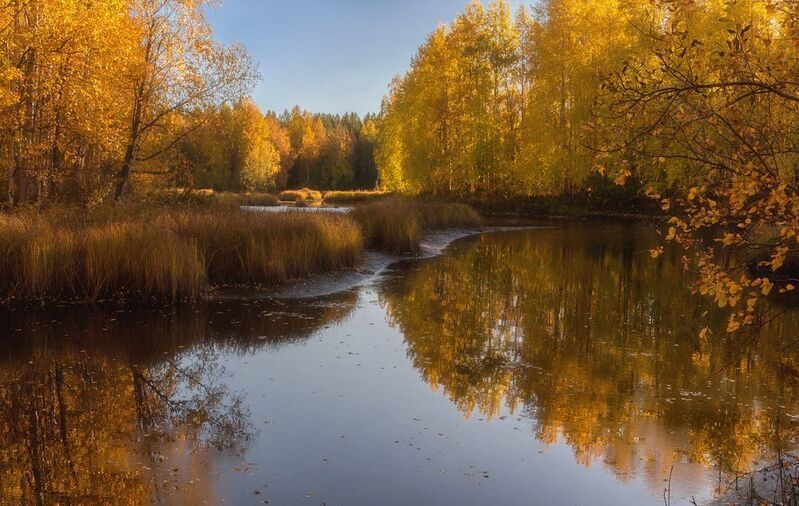 панорама осень сентябрь река вода отражения берег лес заросли ветки кусты кустарник трава тишина, солнечная осень Была в разгаре осеньphoto preview